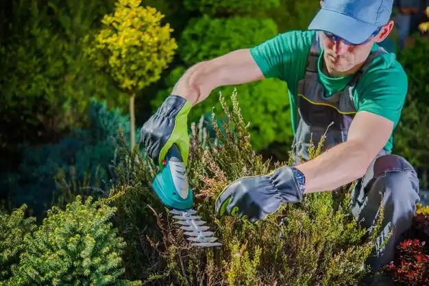 landscaping services Cherry Grove